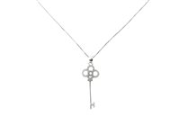 Collana Immagini Gioielli Creativi Donna IMMAGINI in Argento Cristallo 1001501 - 1001501